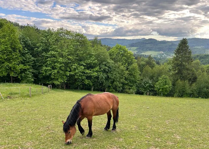 Widokowe ויסלאו